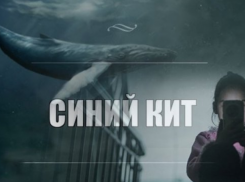Внимание! По Молдове распространяются игры, доводящие подростков до самоубийства