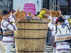 Национальный день вина соберет рекордное количество виноделен