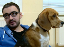 Владелец IT-компании в Кишиневе повысил производительность, разрешив сотрудникам брать на работу кошек и собак