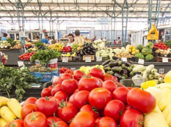 Современный рынок открылся в селе Сэрата Веке в районе Фалешты