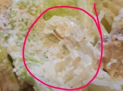 Мерзкий червяк в салате шокировал клиентку известной пиццерии 