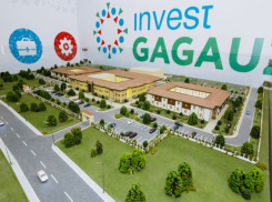 Invest Gagauzia-2020 начинает свою работу