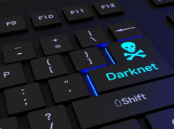 Молдавские и голландские полицейские ведут следствие по ОПГ, торгующей наркотиками