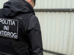 Антинаркотическая кампания идет полным ходом: полиция выявила множество случаев хранения запрещенных веществ