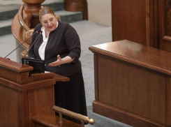 Румынская сенатор Шошоакэ: нас активно втягивают в войну, вы – предатели