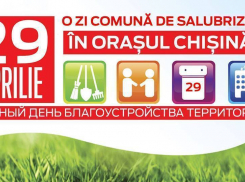 Социалисты призывают горожан выйти на субботник: узнай адреса сбора 