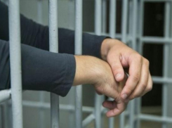 Санду: «подписала закон об амнистии в спешке из-за давления депутатов»