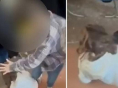 Малолетка избил девочку ногами. Случаем занялись органы