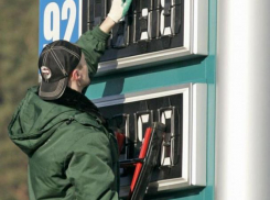 Пока власти бездействуют, совет директоров НАРЭ зарабатывает на безбедную старость своим внукам, - мнение 