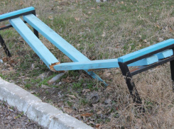 Вандалы сломали скамейки и урны и вырвали деревья в парке в Кэушанах 