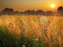 Нас ждет знойное воскресенье – погода в Молдове 