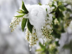 Во вторник в Молдове будет холодно: ночью ожидаются заморозки