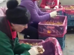 Жутким рабством оказалось «трудоустройство в Польше» для 17 граждан Молдовы