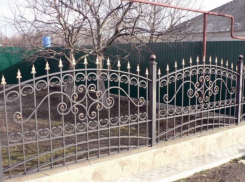 В Крикова погиб пенсионер - старик обрезал ветки во дворе и упал на пики забора