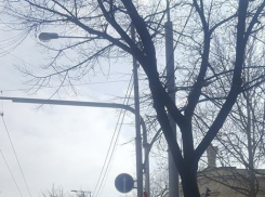 На бульваре Штефана чел Маре запечатлели «секретный светофор»