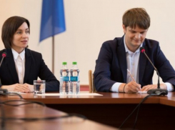 280 тыс. леев на цветочки – президентура продолжает шиковать