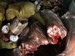 Опасные рыбу и мясо попытались продать на Центральном рынке Кишинева