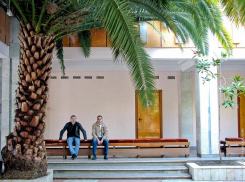 Избиратели Ботаники, пришедшие на референдум, оказались в джунглях