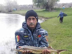 В Днестре во время контрольного вылова поймали рыбу ценной породы