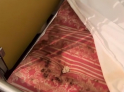 9 миллионов на ремонт: что будет с Ниспоренской больницей после скандального видео с грязными матрасами и тараканами