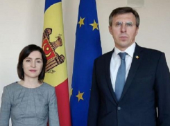 Киртоакэ поблагодарил Навального за то, что тот поздравил Санду