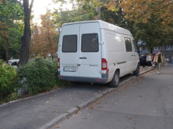Им плевать - они паркуются, как хотят, а чужие дети никого не волнуют