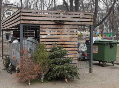 «Зеленое хозяйство» начало переработку новогодних елок 