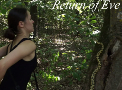 Фильм «Возвращение Евы», снятый в Кишиневе, «поехал» в Голливуд и на престижные мировые фестивали