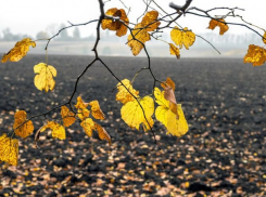 В субботу в Молдове ожидается переменная облачность и до 13 градусов тепла 