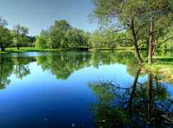 Ботанический сад открылся для посетителей, но заходить в него можно лишь по трое, не более