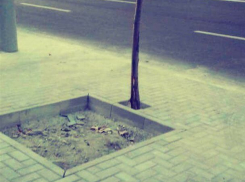 Ремонт тротуаров на проспекте Штефана чел Маре не перестал  удивлять кишиневцев 