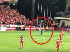 Комическую ситуацию с убежавшим от преследования и бросившимся на колени перед валлийцами мужчиной сняли на видео