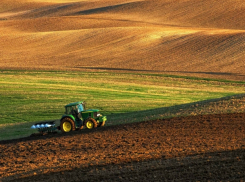 Как специалисты из Турции помогут Молдове развивать сельское хозяйство