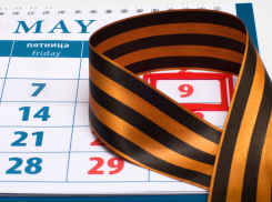 Парламент Молдовы: социалисты против объявления 9 мая Днем Европы 