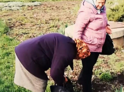 В Бельцах две женщины «обчистили» цветочную клумбу