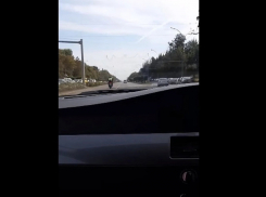 Полицейские помогли беременной побыстрее добраться до роддома