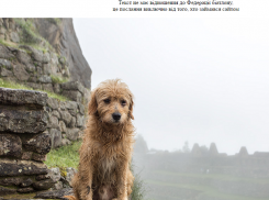 Сайт Федерации биатлона Украины закрылся после запрета на выезд украинских спортсменов в Россию 