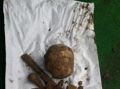 Во дворе дома Илана Шора найдены человеческие останки 