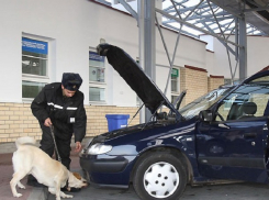 Мошенника из Молдовы поймали в автомобиле белоруса на Украине