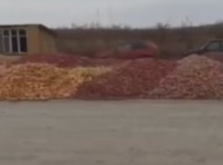 Яблоки у обочины – печальные агро-реалии Молдовы