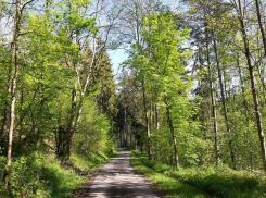 В Молдове будет тепло и солнечно – погода на пятницу 