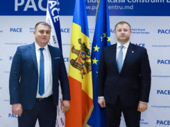 Брат «зеленочного агрессора» работает в полиции - блогер