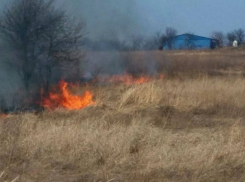 За последние сутки в Молдове сгорели 127 гектаров растительности