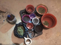 Братья-наркоторговцы из Страшен были схвачены в результате спецоперации