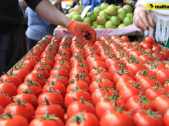 Стало известно, как развивался индекс цен производителей сельхоз продукции в 2018 году