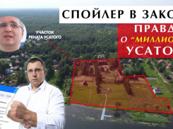 Павел Григорчук выпустил новое расследование: «Спойлер в законе: правда о миллионах Усатого»