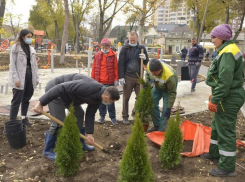 Сквер на улице Заикина в Кишиневе украсят особенные деревья и кустарники  