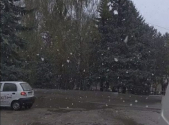 В четверг будет холодно и дождливо 