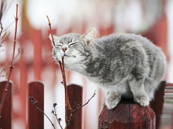 Запахло весной: начало рабочей недели принесет температурный скачок и осадки