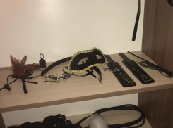 БДСМ-бордель по мотивам эротического фильма «50 оттенков серого» устроила девушка во Львове 